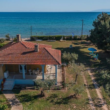 Clio Beach House By Travel Pro Services - Metochi Halkidiki ソゾポリ エクステリア 写真
