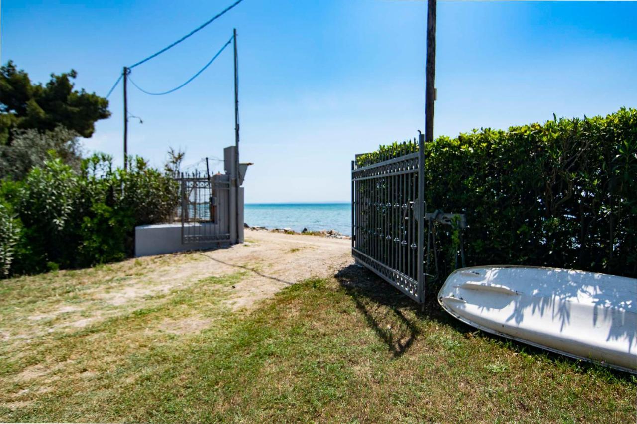 Clio Beach House By Travel Pro Services - Metochi Halkidiki ソゾポリ エクステリア 写真