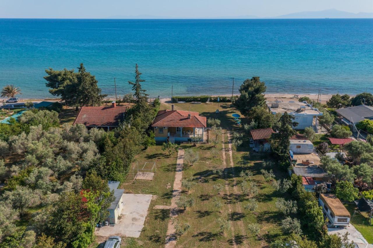 Clio Beach House By Travel Pro Services - Metochi Halkidiki ソゾポリ エクステリア 写真